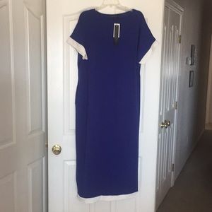 Size “L” Long Dress.